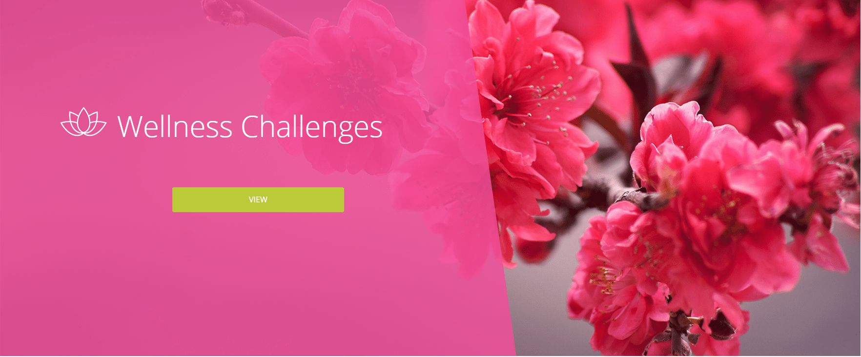 wellness-challenges-2
